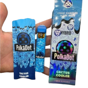 Polkadot Cactus Cooler